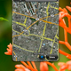 Image for article titled Palm Pre: The Definitive Guide and FAQ
